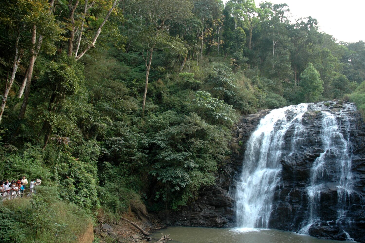 coorg